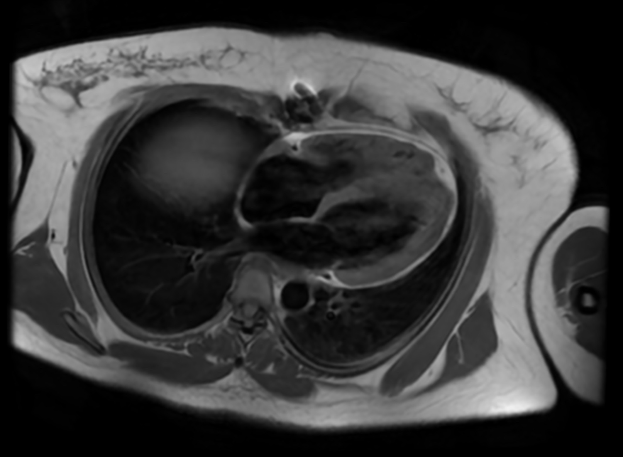 Speciality Scans